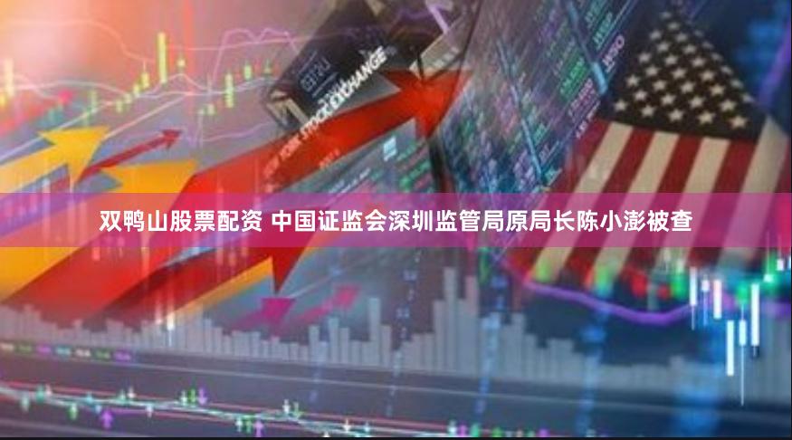 双鸭山股票配资 中国证监会深圳监管局原局长陈小澎被查